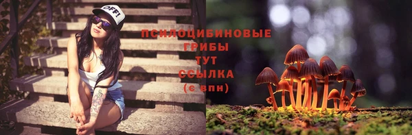 сатива Алексин