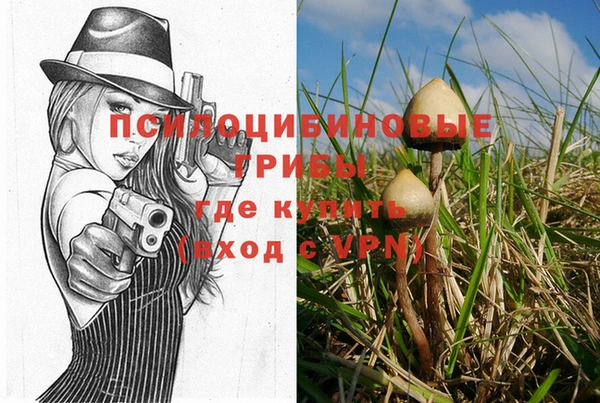 сатива Алексин