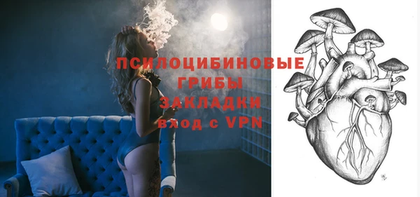 сатива Алексин
