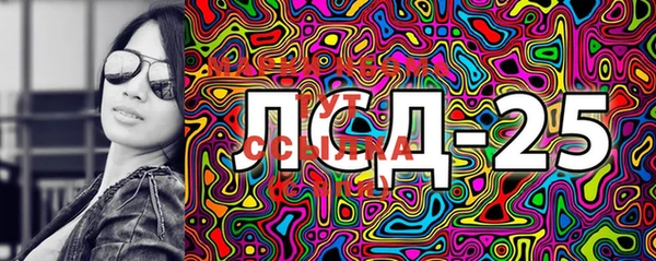 стаф Алзамай